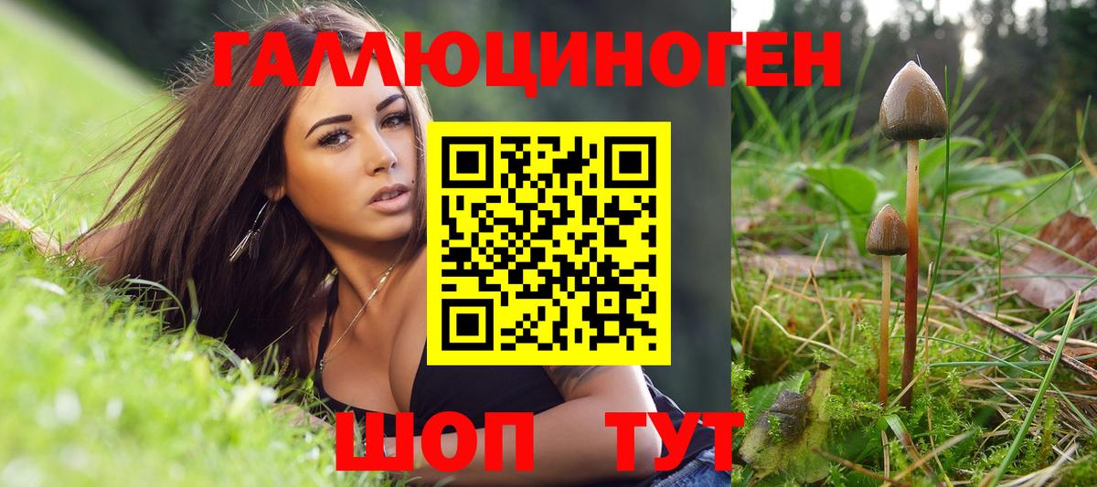 Псилоцибиновые грибы GOLDEN TEACHER Артём